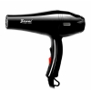 ION HAIR DRYER 220V